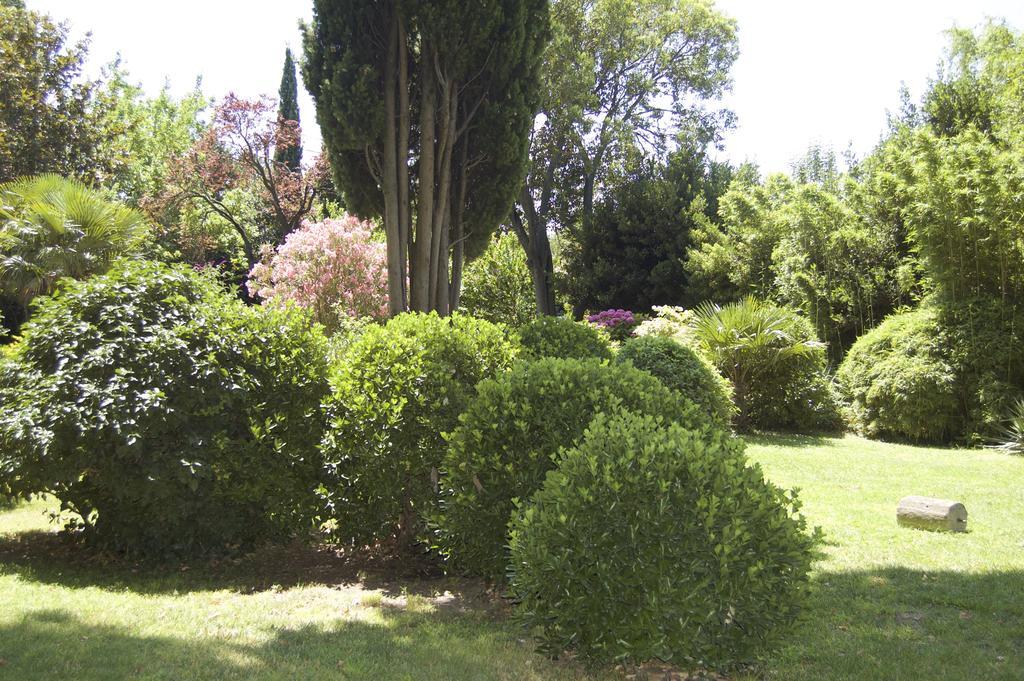 Le Mas Ferrand Graveson Esterno foto